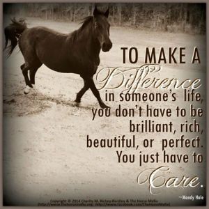 b 10551067_1536445346610653_4280468680966254110_n