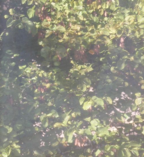 View from my work window.